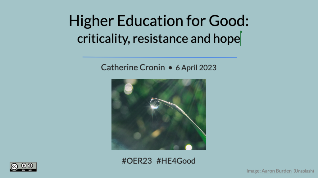 Higher Education for Good: Criticality, resistance and hope 