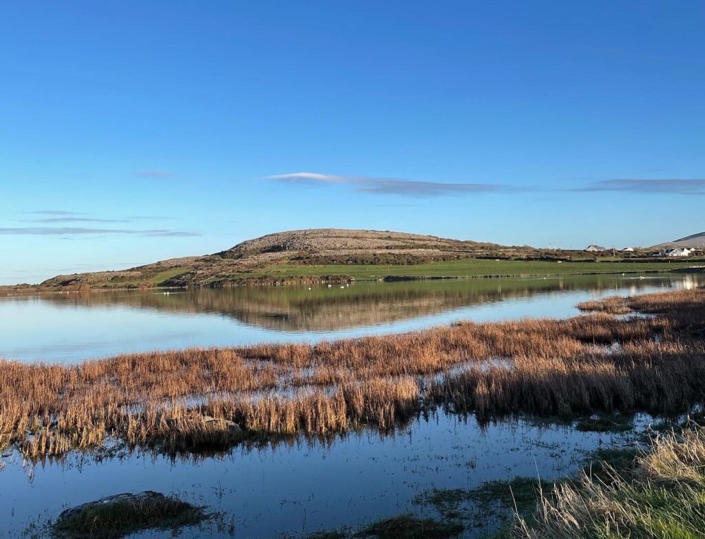 Photograph showing a still lake reflecting a green hill in the background, and rushes in the foreground